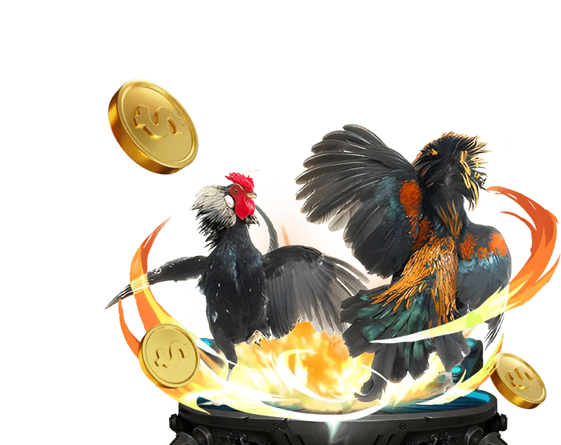 Thưởng nạp lại hàng ngày cho đá gà